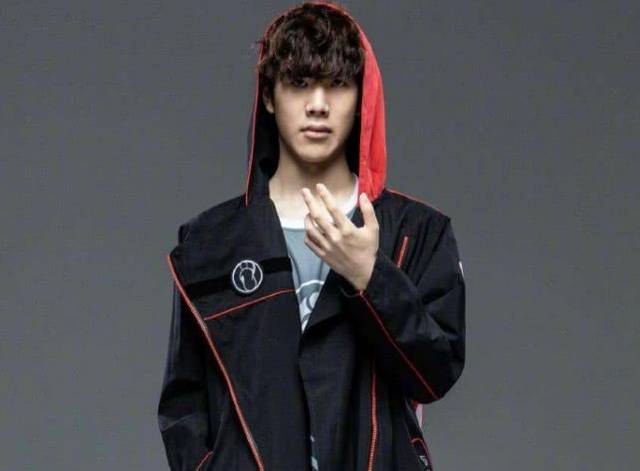 质的典范 质的典范