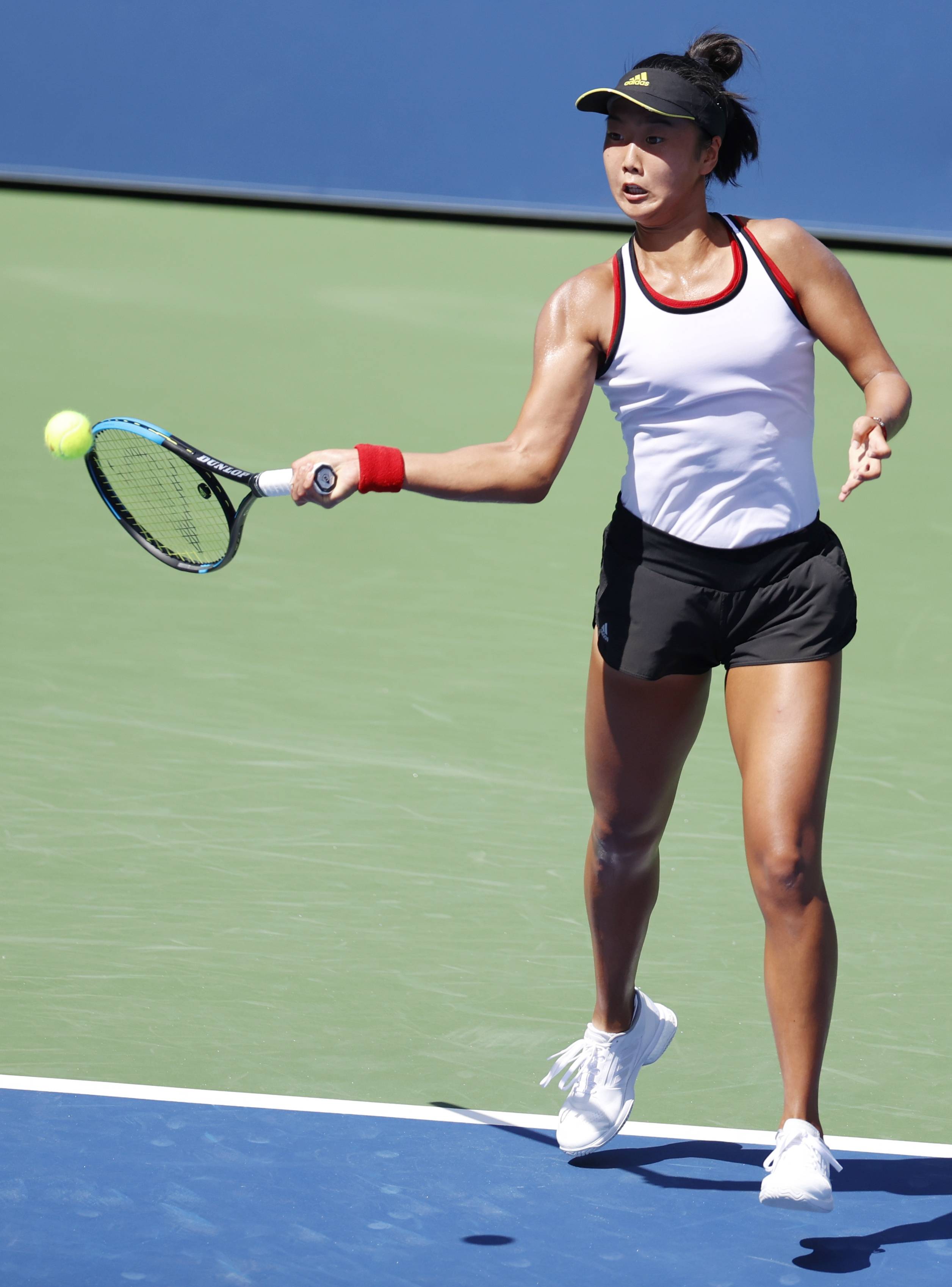 供了参考 供了参考