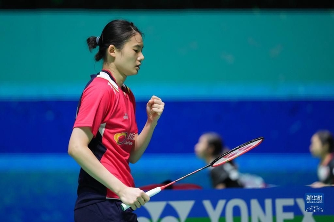 丹麦欧洲杯 丹麦欧洲杯